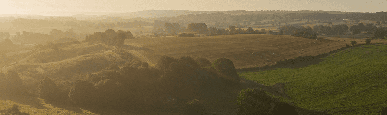 Sparbanken Skåne banner