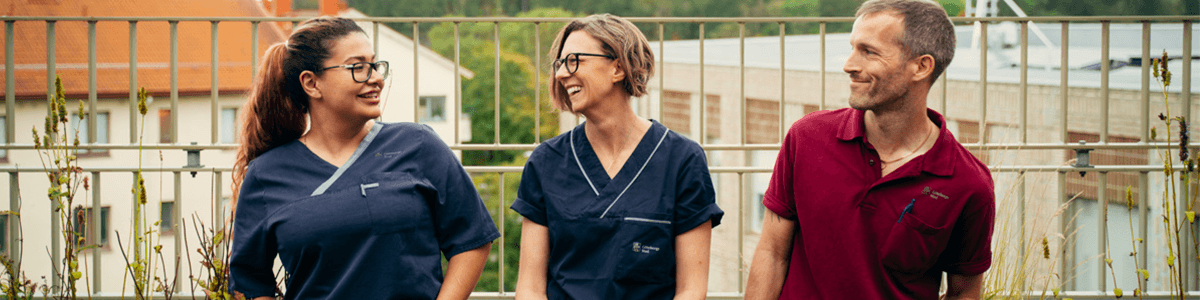 Göteborgs Stad banner